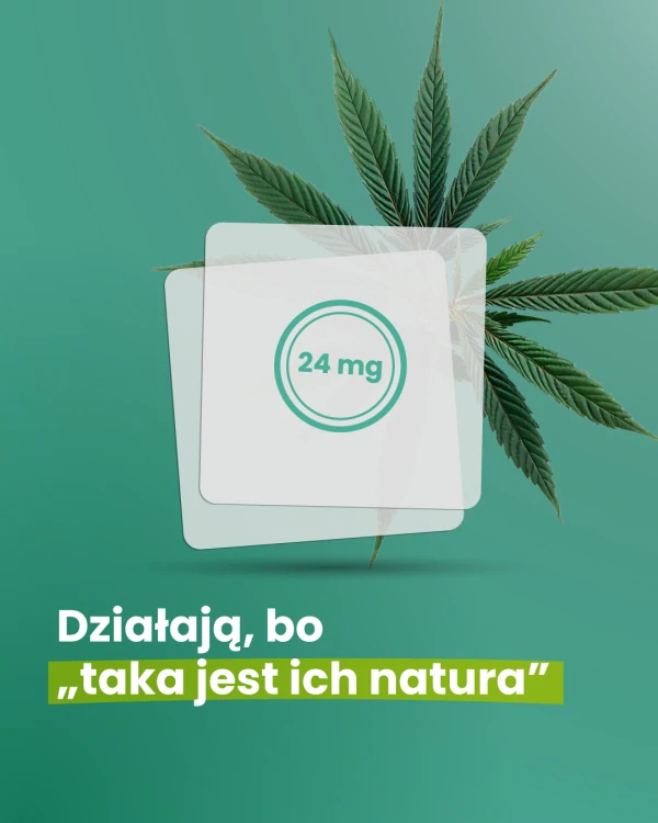Resq_IG_01-30.png